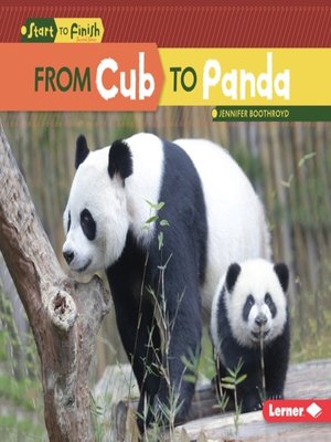 cover image of From Cub to Panda